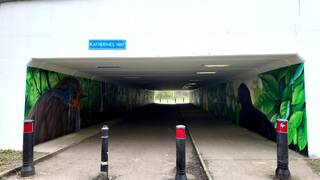 Katherines underpass by MurWalls — Katherine's Way, underpass